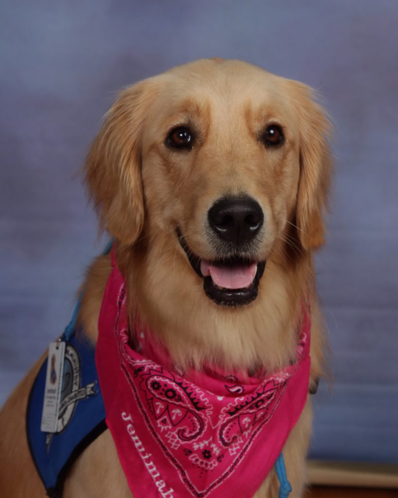 St. Paul Lutheran School | Comfort Dog